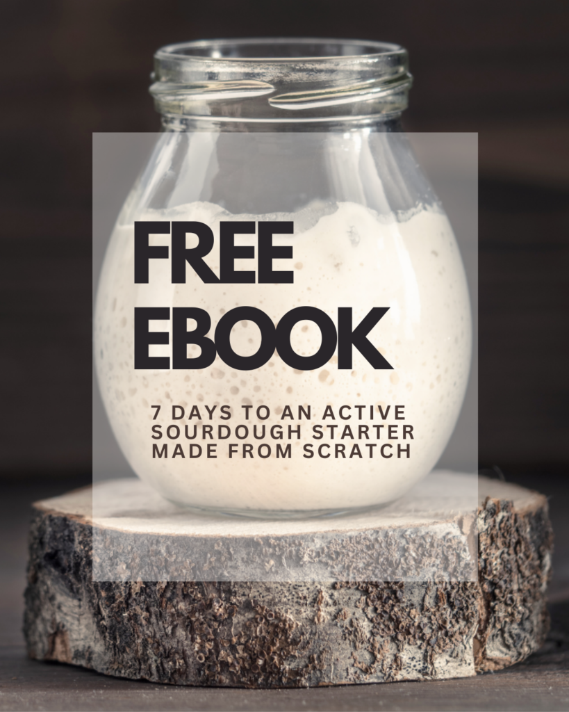 free ebook sourdough starter in a jar