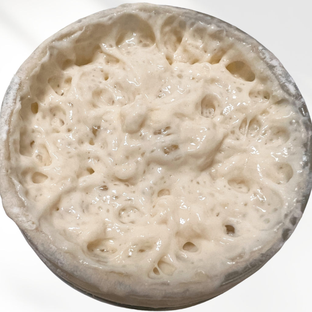 Bubbly, active Sourdough Starter in jar