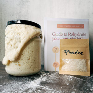 Sourdough Starter spilling from jar with packet of phoebe dehydrated starter and guide