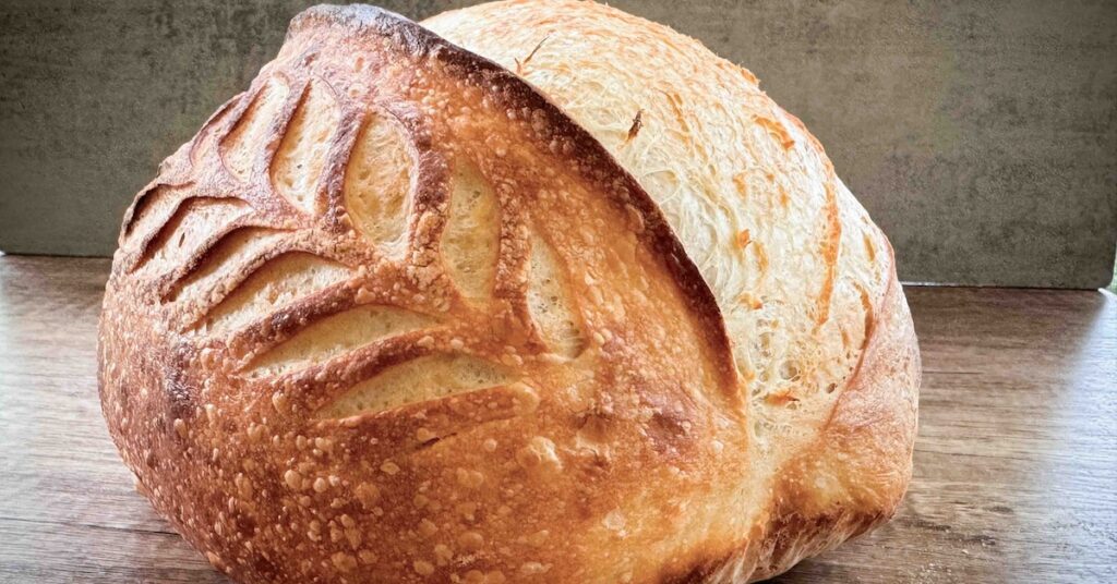 Sourdough Bread loaf with big belly and wheat stalk scoring