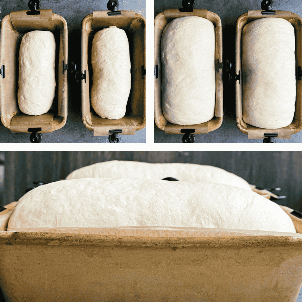 Bread pans with loaves before proofing and after domed above the pan