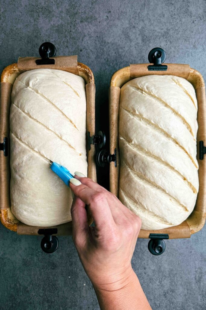 2 bread pans with proofed loaves scored with blue razor 