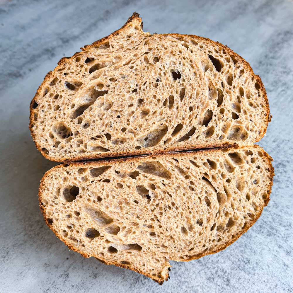 whole wheat sourdough loaf crumb with bunny ear