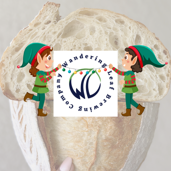 Sourdough Christmas Workshop - December 18 - Saint Paul, MN